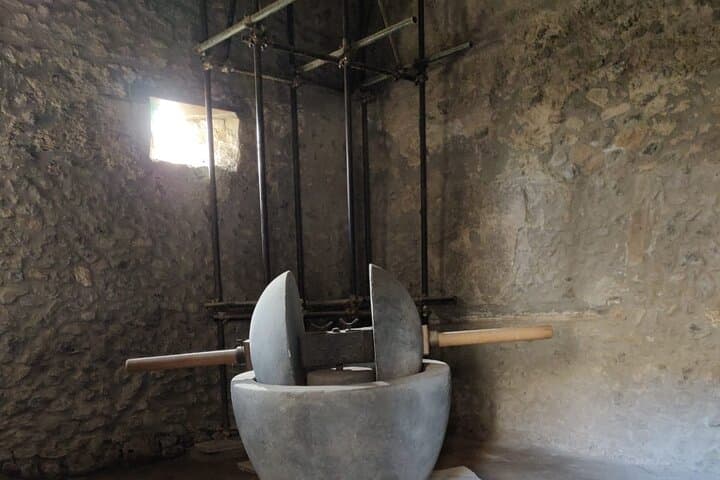 Private Pompeii Tour: Fast-Entrance Tickets & Exclusive Guide to the Ruins photo 4