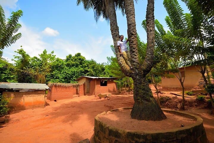 Boti Falls Day Tour: Waterfalls, Umbrella Rock & Three-Headed Palm photo 4