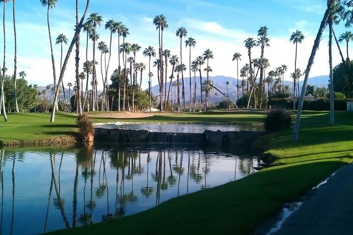 Private 10-hour Palm Springs Day Trip from Los Angeles — Indian Canyons, Palm Canyon Drive & Mid‑Century Design photo 3