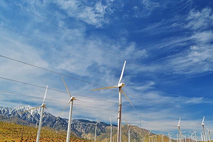 Private 10-hour Palm Springs Day Trip from Los Angeles — Indian Canyons, Palm Canyon Drive & Mid‑Century Design photo 2