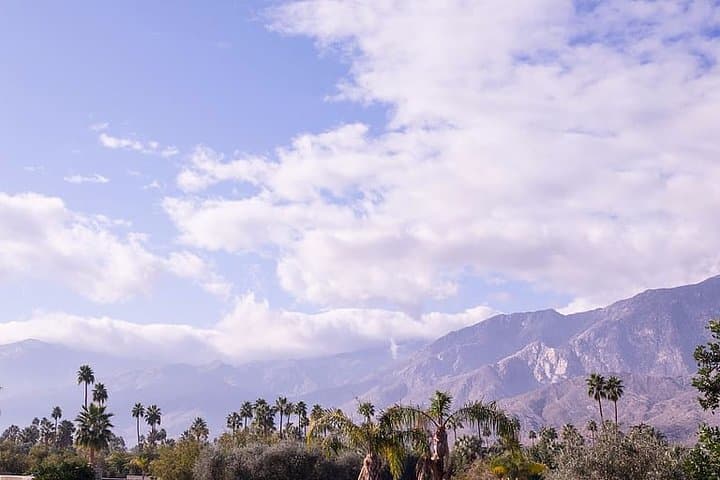 Private 10-hour Palm Springs Day Trip from Los Angeles — Indian Canyons, Palm Canyon Drive & Mid‑Century Design photo 5
