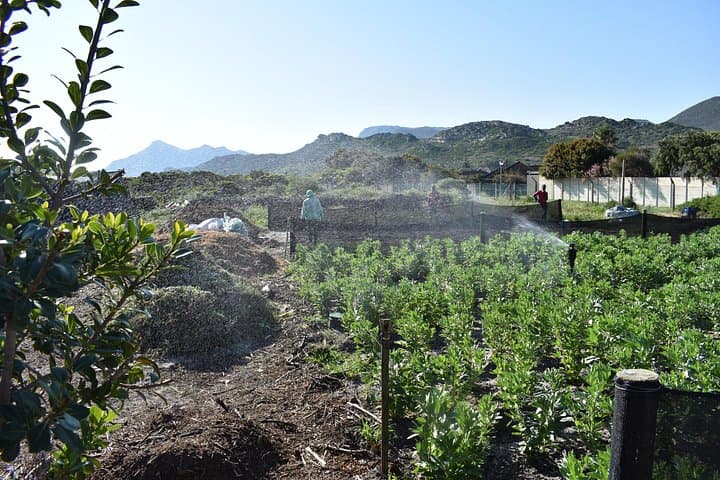 Build Upcycled Furniture for a Cape Town Community Garden — Hands-On Workshop photo 2