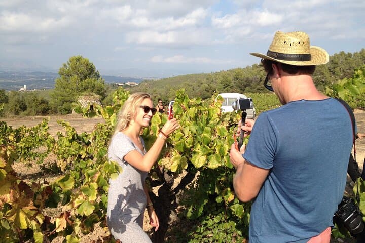 E-bike Wine Tasting Along Barcelona's Coast: Alta Alella Winery Tour