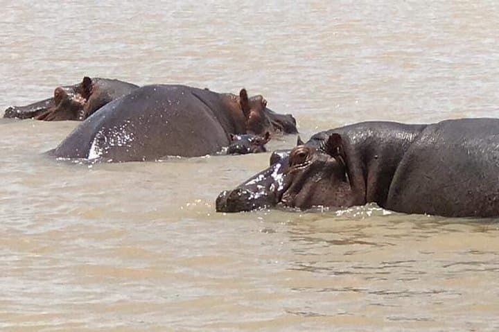 Bahir Dar & Blue Nile Falls: 2-Day Private Tour on Lake Tana photo 3