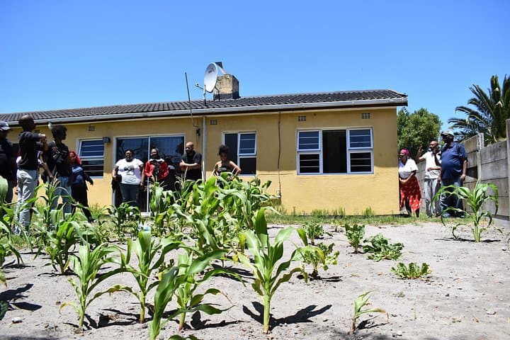 Urban Agriculture Crash Course in Cape Town: Hands-On Township Farming Experience photo 3