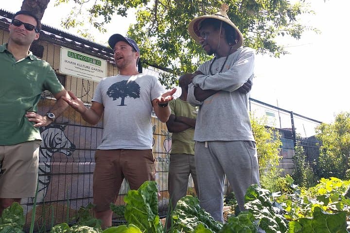 Urban Agriculture Crash Course in Cape Town: Hands-On Township Farming Experience photo 4