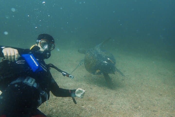 Tamarindo SSI Advanced Open Water Diver Course — Deep Dive Training in Costa Rica photo 5