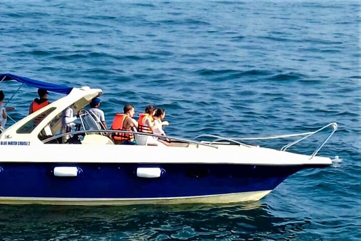 Whale Watching from Koggala: Shared Boat Tour to See Blue Whales & Dolphins photo 4