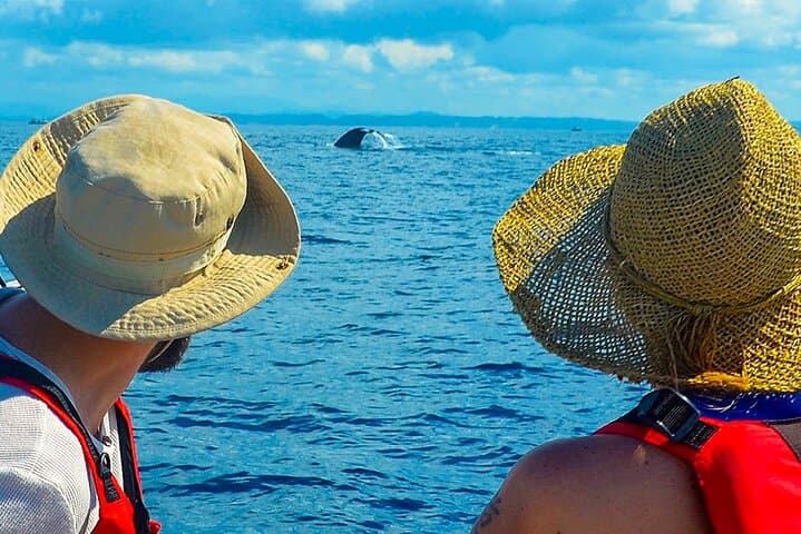 Whale Watching from Talpe: Blue Whales & Dolphins off Mirissa photo 6