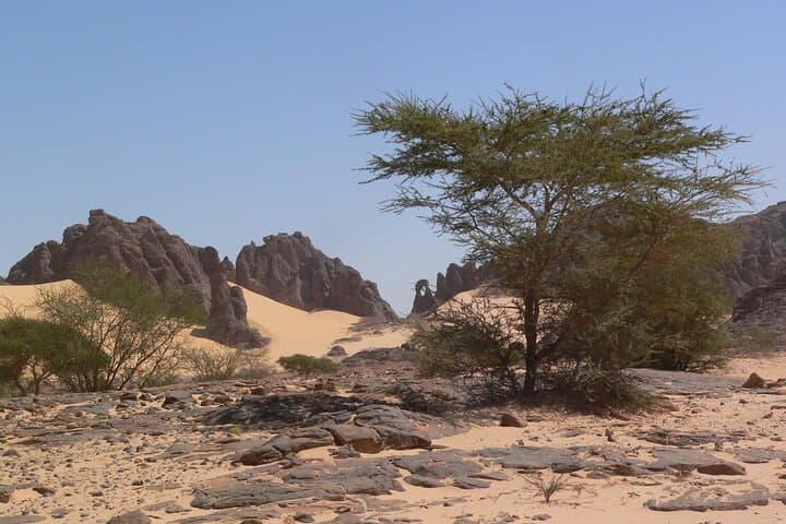 Tibesti Expedition: Emi Koussi, Trou au Natron & Ounianga Lakes photo 3