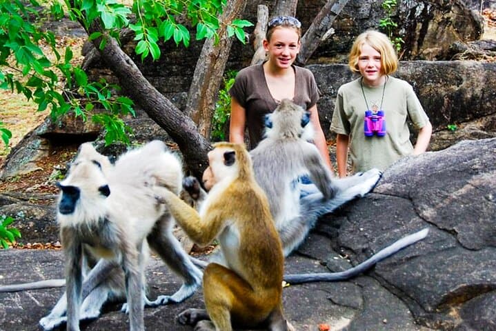 Explore Monkey Kingdom Guided Walk at Polonnaruwa Primate Research Site photo 5