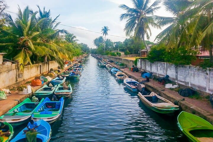 Glide the Dutch Canal: Hamilton Canal Boat Tour from Negombo