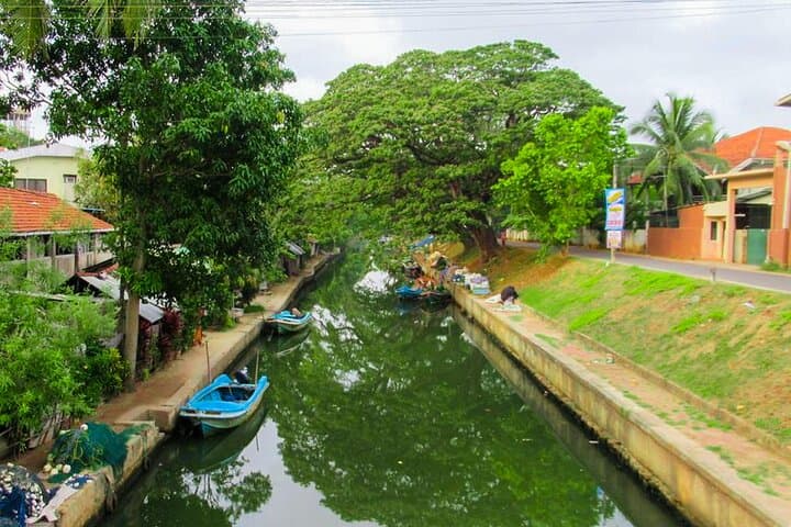 Glide the Dutch Canal: Hamilton Canal Boat Tour from Negombo photo 2