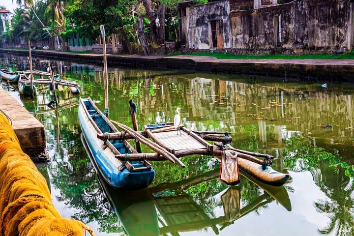 Glide the Dutch Canal: Hamilton Canal Boat Tour from Negombo photo 5