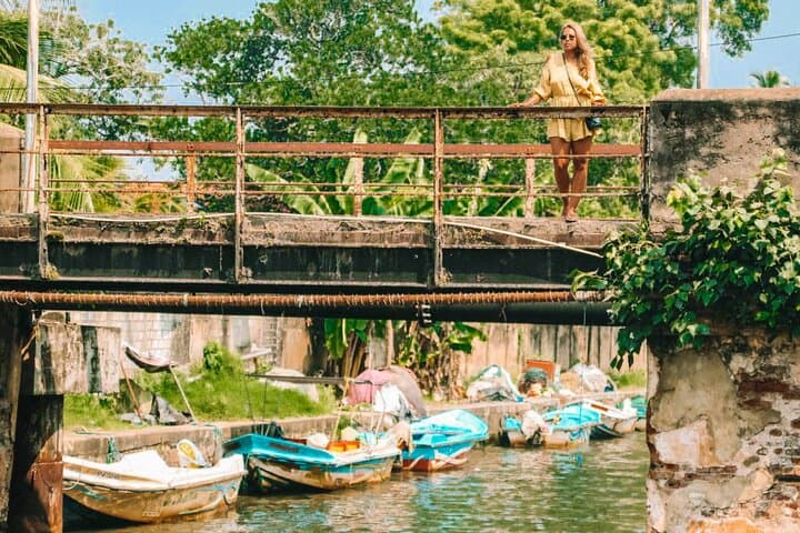 Glide the Dutch Canal: Hamilton Canal Boat Tour from Negombo photo 6