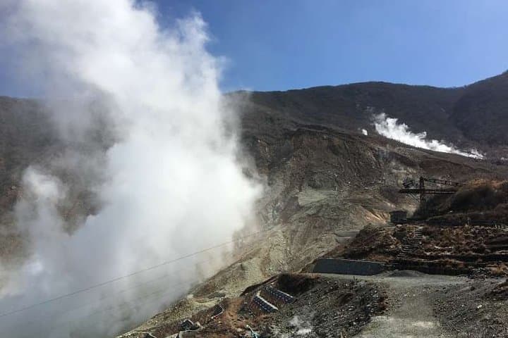 Hakone One-Day Private Tour: Lake Ashi, Owakudani & Onsen Experience