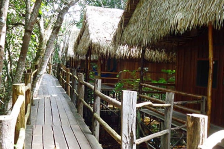 4-Day Amazon Lodge Immersion: Jungle Lodge, River Tours & Community Visits photo 5