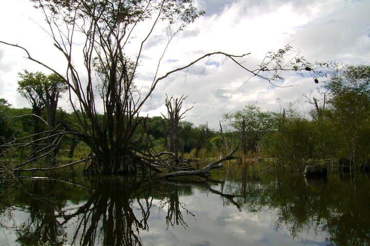 4-Day Amazon Lodge Immersion: Jungle Lodge, River Tours & Community Visits photo 6