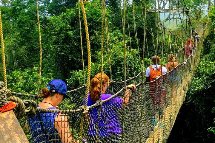 Cape Coast in Two Days: Kakum Canopy & Elmina Castle Tour from Accra photo 2
