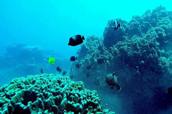 4-Day Adventure on Rapa Nui: Terevaka, Snorkel & Horseback photo 6