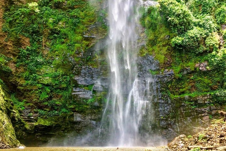 Two-Day Volta Adventure: Hike Afadzato, See Wli Falls & Meet Mona Monkeys photo 2