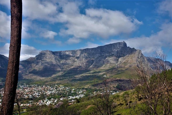 Great Gatsby Food Tour Cape Town: Cape Flats Culinary & Cultural Experience photo 1