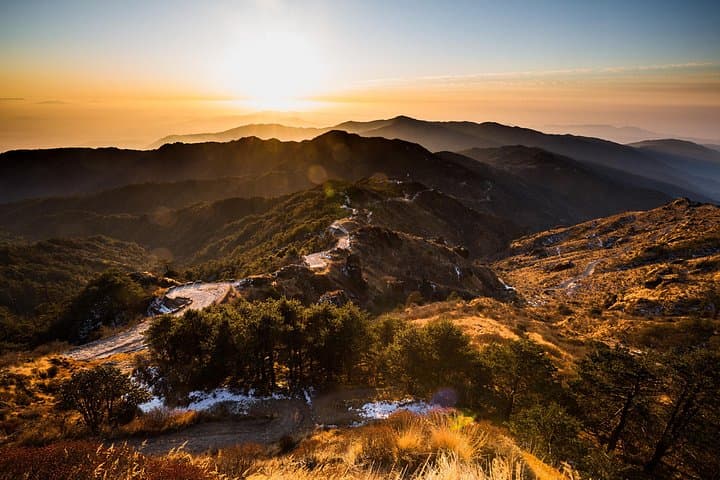 Sandakphu and Singalila Day Trip from Darjeeling: Ridge Walks, Rhododendrons & Himalayan Panoramas