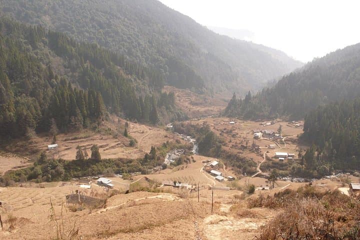 Sandakphu and Singalila Day Trip from Darjeeling: Ridge Walks, Rhododendrons & Himalayan Panoramas photo 2