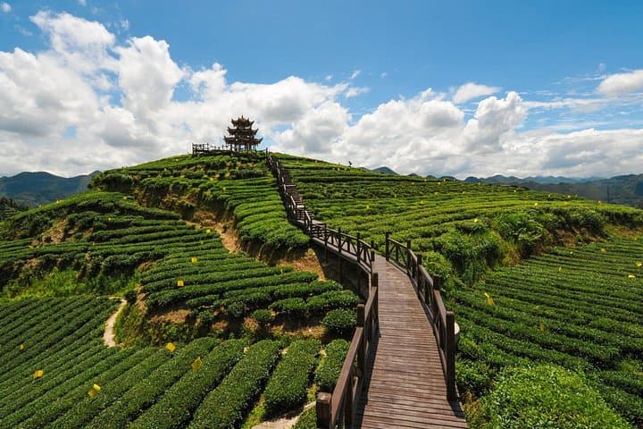 Sandakphu and Singalila Day Trip from Darjeeling: Ridge Walks, Rhododendrons & Himalayan Panoramas photo 4
