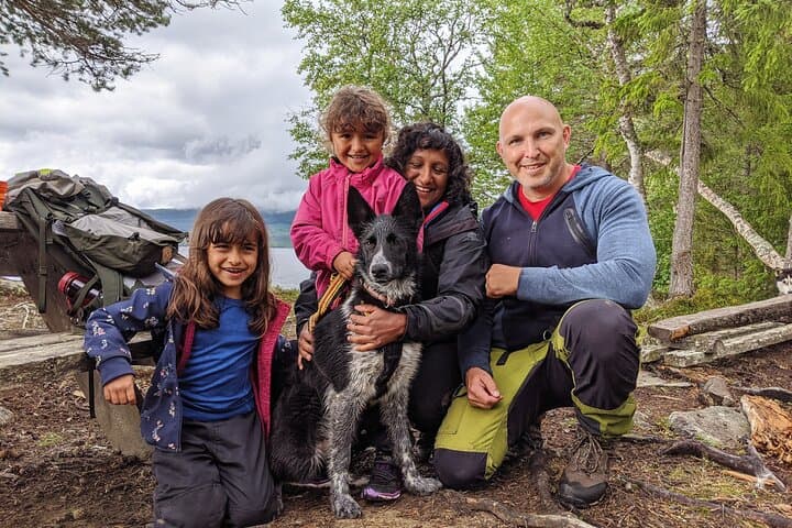 Half-Day Huskie Walk: Guided Arctic Wilderness Stroll near Åre
