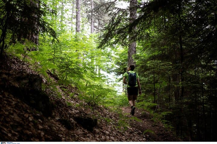 Mount Olympus Beyond the Postcards: Myth Trails, Enipeas Gorge & Hidden Springs