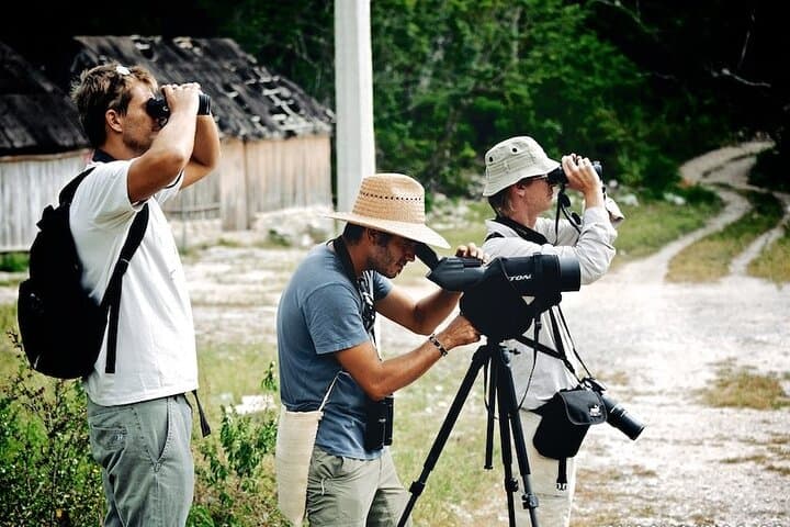 Birdwatching in Sian Kaan Muyil from Tulum — Shared Group Birding Tour