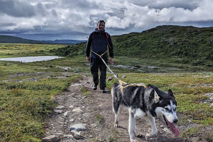 Half-Day Huskie Walk: Guided Arctic Wilderness Stroll near Åre photo 3