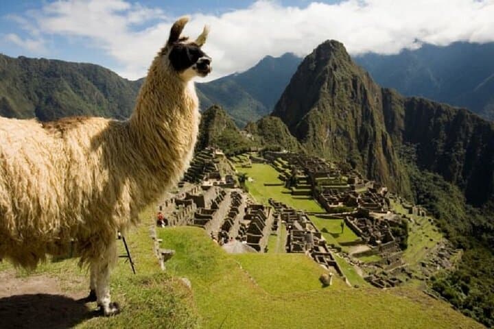 classic-peru-amazon-jungle-machu-picchu-sacred-valley-lake-titicaca photo 2