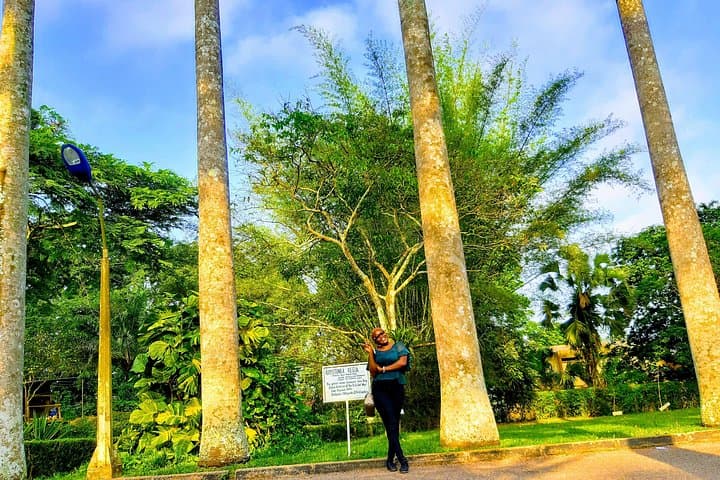 Accra Two-Day Cultural & Botanical Tour — Du Bois, Nkrumah & Aburi Gardens photo 4