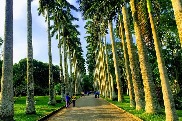 Accra Two-Day Cultural & Botanical Tour — Du Bois, Nkrumah & Aburi Gardens photo 2