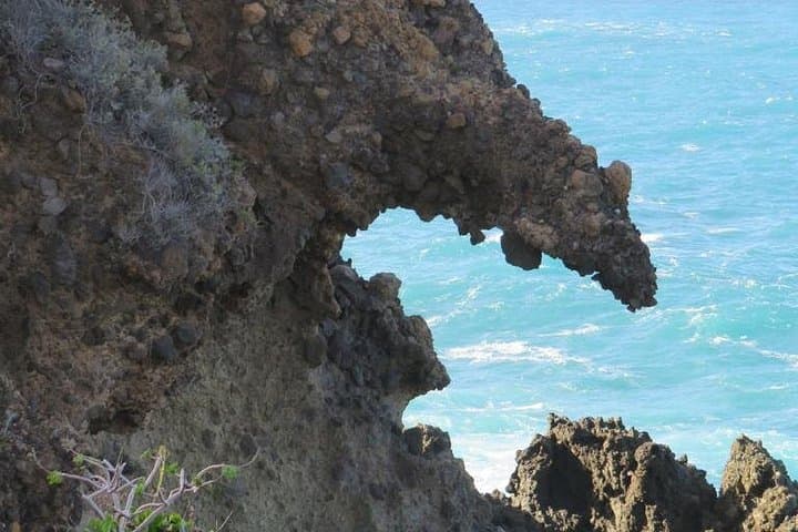 Underwater Lava Tongues: Tenerife Boat Tour from Las Galletas photo 4