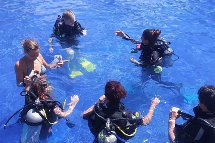 Discover Scuba Diving in Punta Cana: Guided Intro Dive to 12m with Pool Training