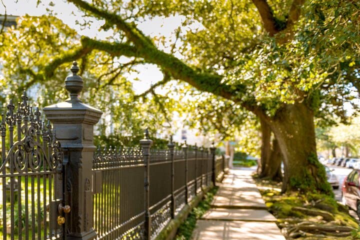 Garden District Walking Tour: History, Architecture & Lafayette Cemetery Highlights photo 2