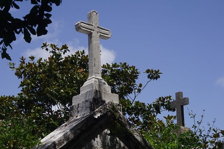 Garden District Walking Tour: History, Architecture & Lafayette Cemetery Highlights photo 4