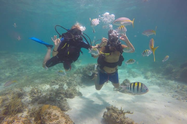 Discover Scuba Diving in Punta Cana: Guided Intro Dive to 12m with Pool Training photo 5