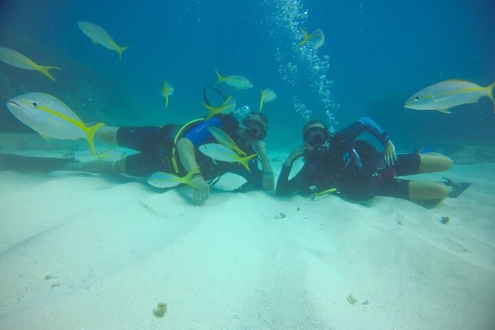 Discover Scuba Diving in Punta Cana: Guided Intro Dive to 12m with Pool Training photo 6