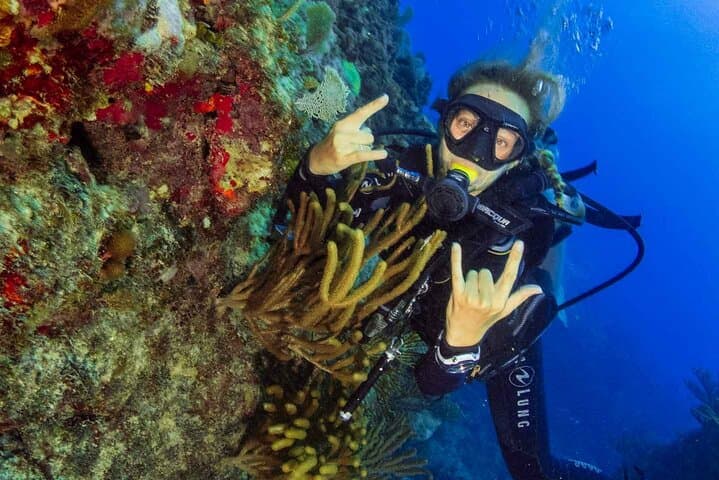 Bávaro Double‑Tank Scuba Diving: Shipwrecks, Reefs & Sharks in Punta Cana photo 3