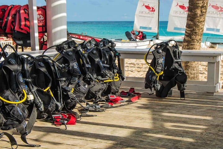 Bávaro Double‑Tank Scuba Diving: Shipwrecks, Reefs & Sharks in Punta Cana photo 4