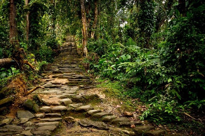 Lost City Trek: 4–5 Day Semiprivate Hike to Ciudad Perdida from Santa Marta photo 4