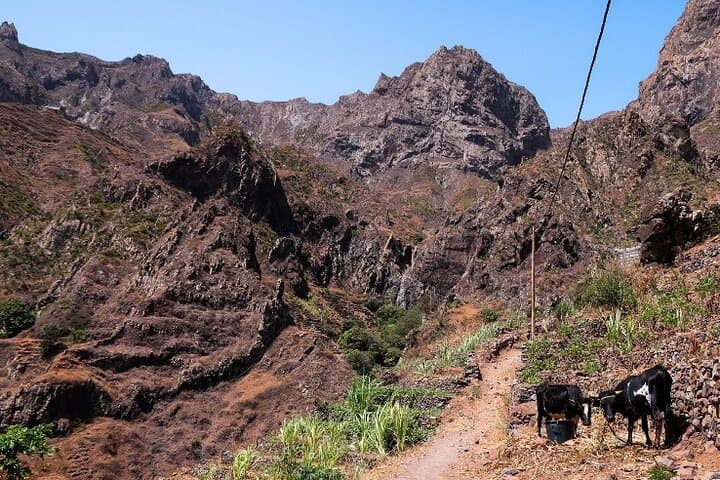 Hike Praia Branca to Ribeira da Prata — São Nicolau Coastal Trail