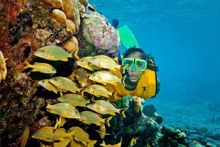 Riviera Maya Snorkeling Adventure: Yal Ku Lagoon, Aktún Cavern & Open Cenote photo 6