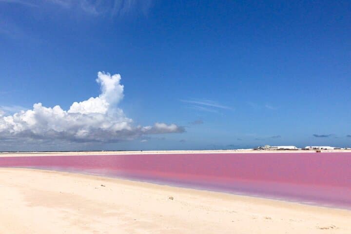 Las Coloradas & Río Lagartos Pink Lake and Wildlife Day Trip from Tulum photo 6