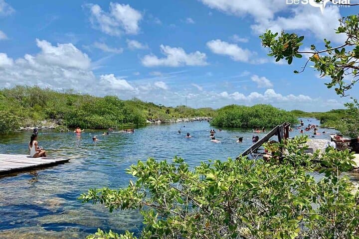 Yalku Lagoon & Cenote Swim: Snorkel Akumal's Marine Garden with Guide photo 3