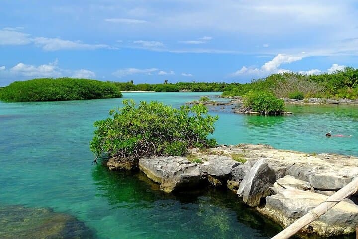 Yalku Lagoon & Cenote Swim: Snorkel Akumal's Marine Garden with Guide photo 5